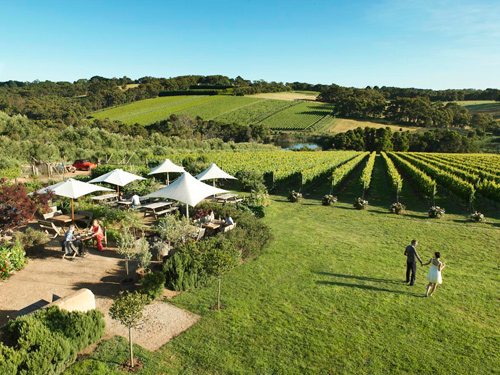 montalto-wedding.jpg